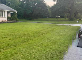 Lisa b.'s Lawn Care service result