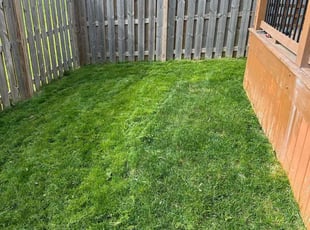Jeff C.'s Lawn Service service result