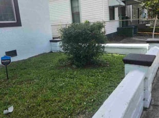 Eve H.'s Bush Trimming service result