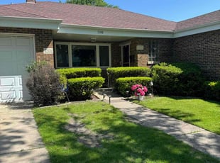 Agustin R.'s Lawn Mowing service result