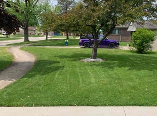 Wilma C.'s Lawn Care service result