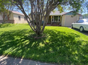 Katherine C.'s Grass Cutting service result