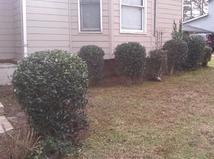 Bush Trimming by Antonio Gibbs for LeVar M. in Lawrenceville, GA