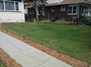 Jennifer B.'s Lawn Mowing Service service result