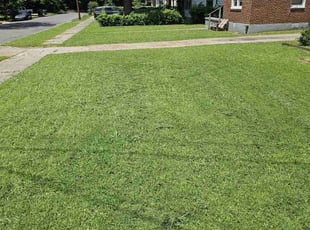 Natasha W.'s Lawn Maintenance service result