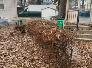 Bush Trimming by Brandon Weems for Tia S. in Riverdale Park, MD
