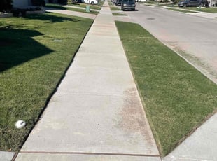 Patricia W.'s Lawn Mowing Service service result