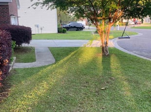 Mark B.'s Lawn Mowing service result