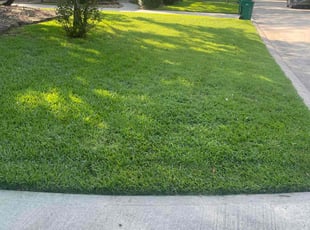 Pat D.'s Lawn Mowing service result