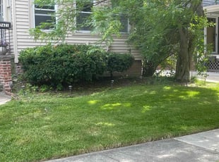 Bush Trimming by Demetrieus Bennett for Jeff H. in Lakewood, OH