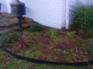 Landscaping by Gerald Helmke for Mourad H. in Metairie, LA