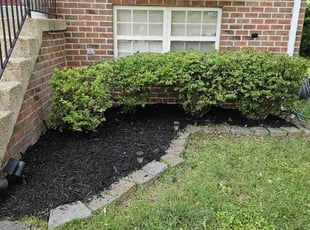 Weeding by Artavius Clark for Richard L. in Clinton, MD