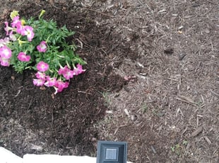 Landscaping by Jose G. for Darren B. in Elgin, TX