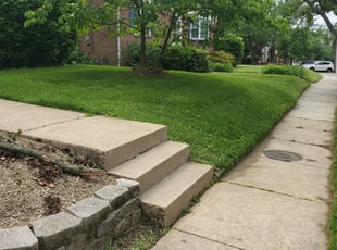 Susan B.'s Grass Cutting service result