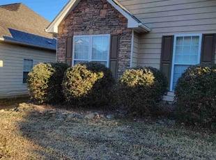 Wes W.'s Bush Trimming service result