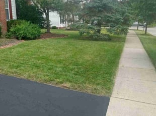 Nicole S.'s Lawn Maintenance service result