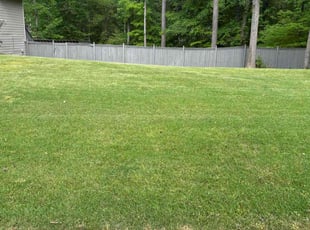 Andrea B.'s Lawn Service service result
