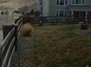 Leaf Removal by Alley Parker for Christopher H. in Arvada, CO
