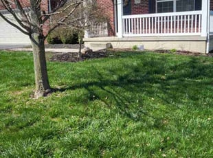 Leaf Removal by Josh Papworth for Josh S. in Grove City, OH