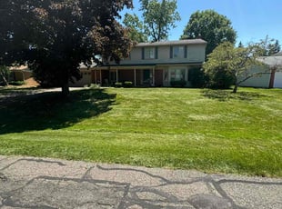 Shauntenette T.'s Lawn Service service result