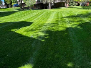Laura A.'s Lawn Care service result