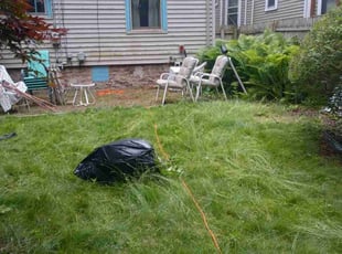 Leaf Removal by Luis Rosa for Talia M. in Rochester, NY