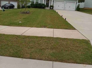 Ryan G.'s Yard Cutting service result