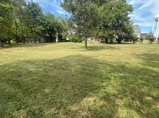 Nicole R.'s Lawn Mowing service result
