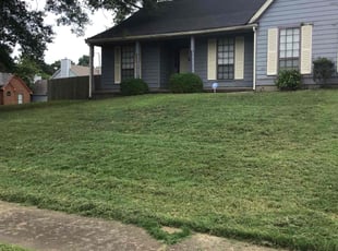 Chelsia B.'s Lawn Mowing Service service result