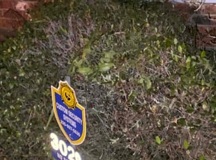 Bush Trimming by Henry Talbert for Sydney M. in Denham Springs, LA