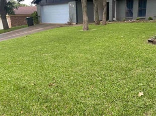 Huavai L.'s Lawn Maintenance service result