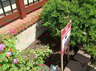 Weeding by Kevin Kenney for Derek M. in Beachwood, NJ