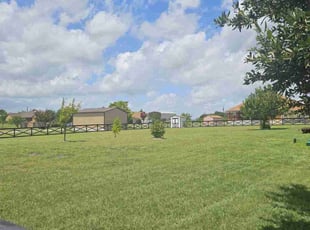 Jovan J.'s Lawn Care service result