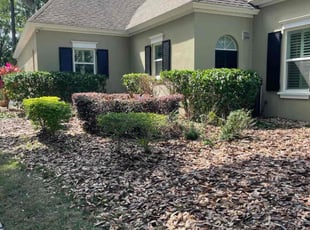Bush Trimming by Leeandra Terry for Amber W. in Tampa, FL