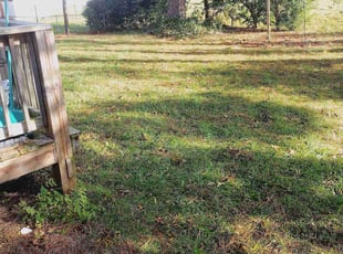 Cleanups by Lamont Williams for Cj G. in Portsmouth, VA