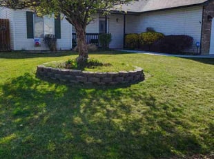 Dave S.'s Lawn Service service result