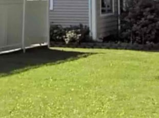 jessica h.'s Lawn Service service result