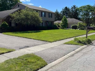 Eileen H.'s Grass Cutting service result