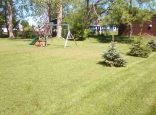 Mayda M.'s Lawn Mowing Service service result