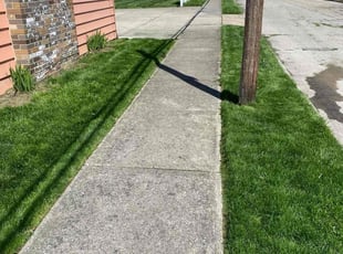 Deborah D.'s Lawn Care service result