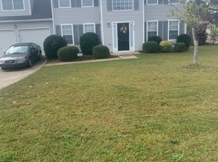 Bush Trimming by Shaniqua Parker for Jacqueline S. in Douglasville, GA