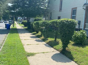 Tyler G.'s Lawn Care service result