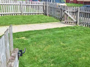 Reginald M.'s Lawn Service service result