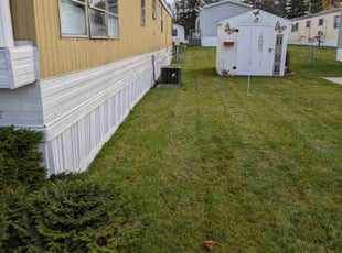 Lina C.'s Lawn Mowing service result