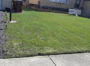 Leaf Removal by Cathey Hardy for Veronica M. in Richton Park, IL