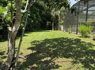 Helmut R.'s Lawn Care service result