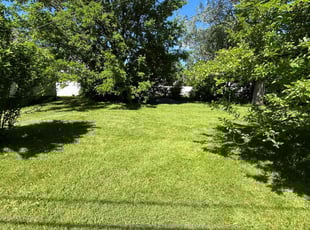 Nancy R.'s Lawn Care service result