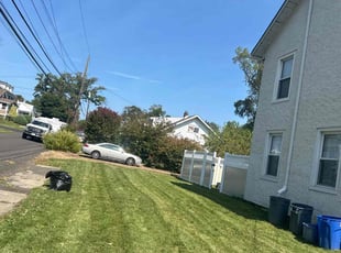 Jim B.'s Lawn Mowing service result