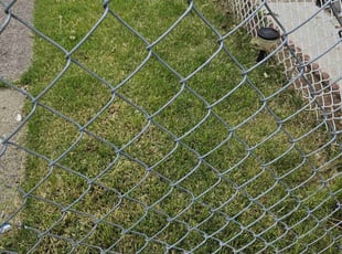 Irah C.'s Lawn Mowing service result