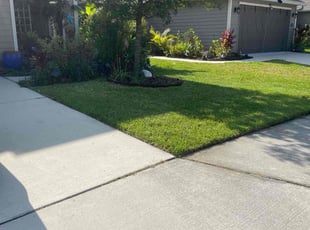 Janet W.'s Lawn Mowing service result